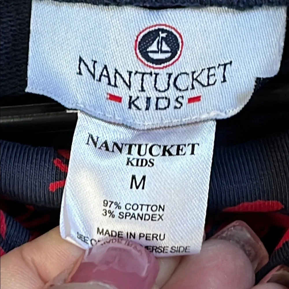 NWT NANTUCKET KIDS Navy and Red Turtleneck Lobster Print Dress